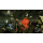 CALL OF DUTY BLACK OPS PC - 1403029 - zdjęcie 3